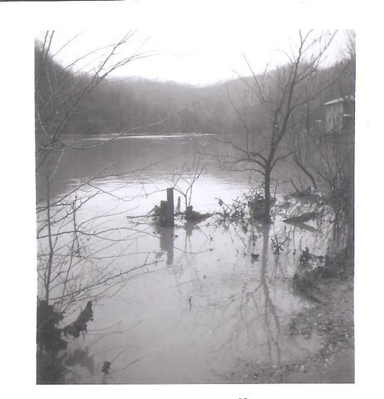 Flood 1977